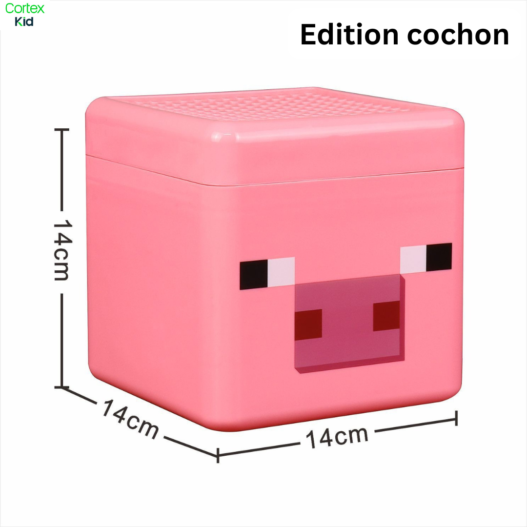 Boîte de rangement